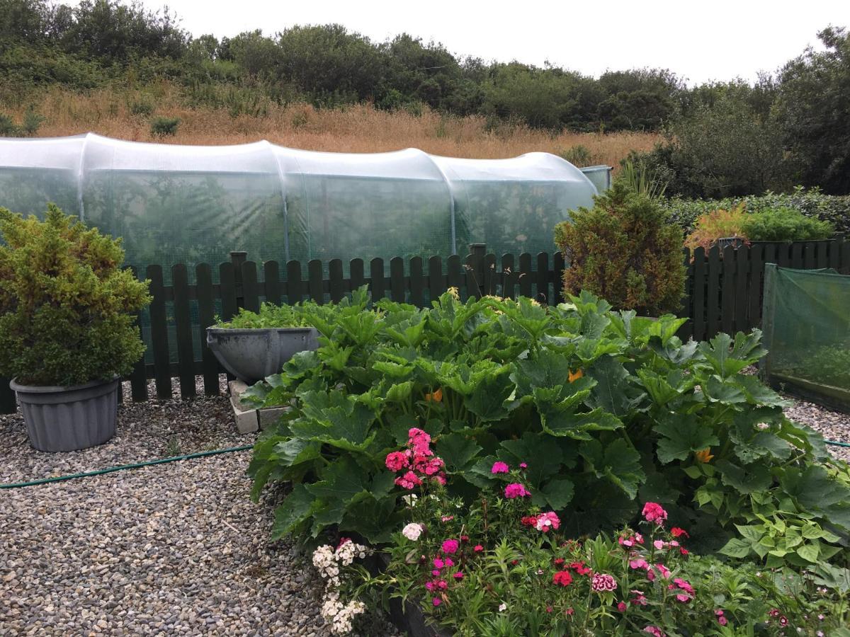 The Garden Room At Sleepy Hollow Louisburgh Exterior photo
